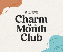 Load image into Gallery viewer, Charm of the Month Club
