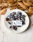 Fall Collection Ginny Charms